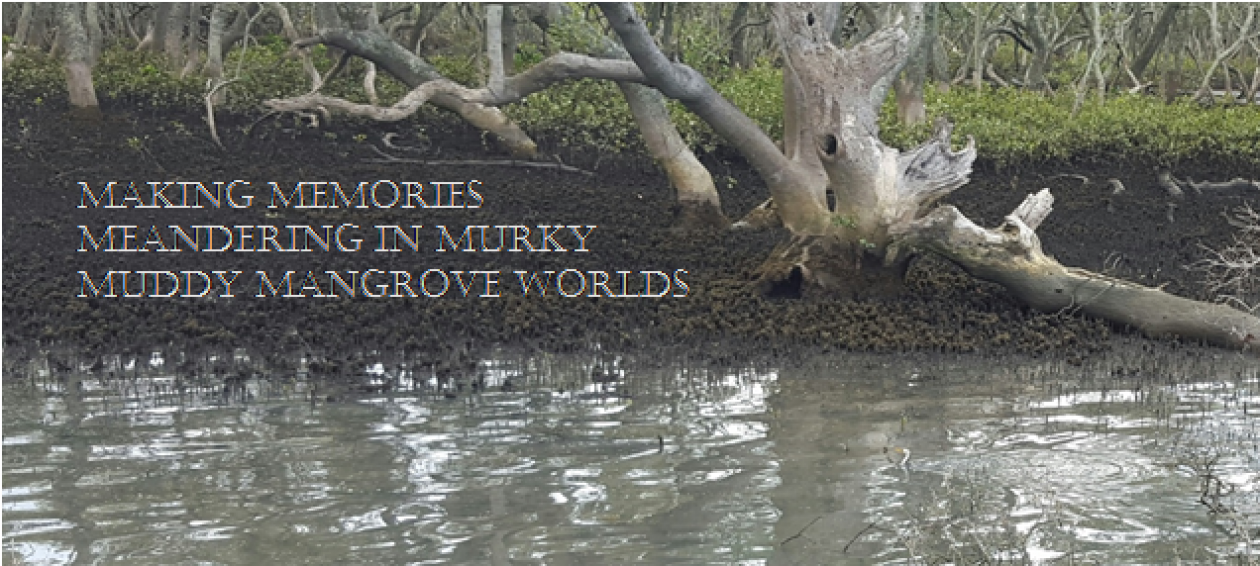 Muddy Mangroves